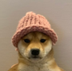 Give Achi's Hat Back logo