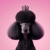 Poodlana logo
