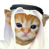 HABIBI logo