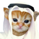 HABIBI logo