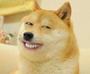 DOGMEM