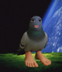 pigeon logo