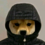 gang