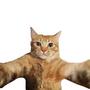 Snapcat