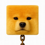 Blocki