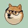DOGEBAG