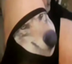WolfWifBallz logo