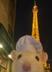 FRENCH EMBASSY MOUSE logo
