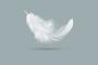 Feather