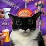 BRAINWASH