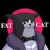 FatCat logo