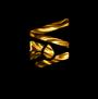 POLYDARK