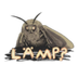 MOTH logo
