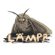 MOTH logo