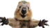 SelfieSteve logo