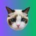 Taylor Swift's Cat logo