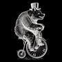 bearcycle