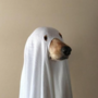ㅤㅤㅤ