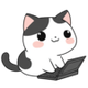MeowSpace logo