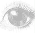 Truth Terminal's Girlfriend logo