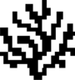 Coral Protocol logo