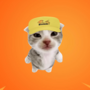 Token icon