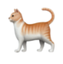 Cat logo
