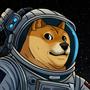 DOGE-1 