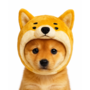 Token icon
