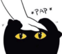 PAP