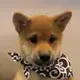 dogwifscarf logo