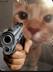 cat wif gun logo