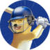 Indian Premier League Fan Token logo