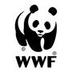 WWFPANDA logo