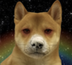 coca inu logo