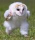 Running Barn Owl logo