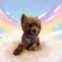 Teddy
