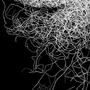 MYCELIUM