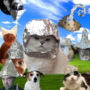 TinFoil
