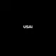 US American Intelligence logo