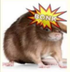 4Chan Bonkrat logo