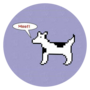 CLARUS