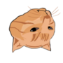 TAC