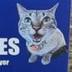 Hermies Squirmies logo