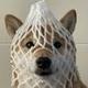 wrapped dog logo
