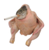 Smoking Chicken Fish logo