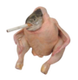 Smoking Chicken Fish logo