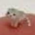 Low Quality Cat logo