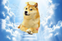 DOGE