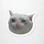 CRYINGCAT